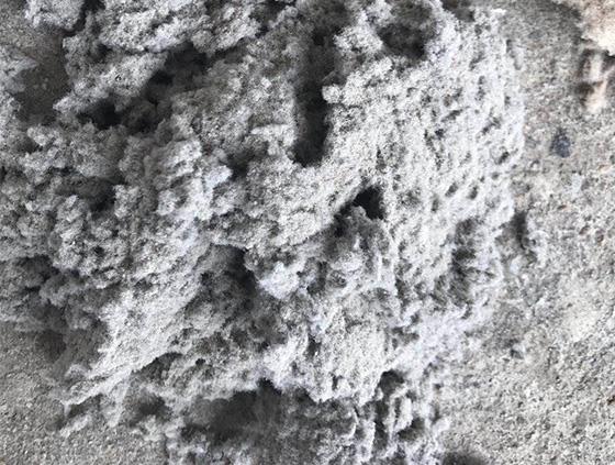 過濾用木質(zhì)纖維有什么特點一文告訴你